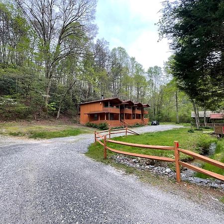 Amazing Cabin Fireplace And Stream #11 هيلين المظهر الخارجي الصورة