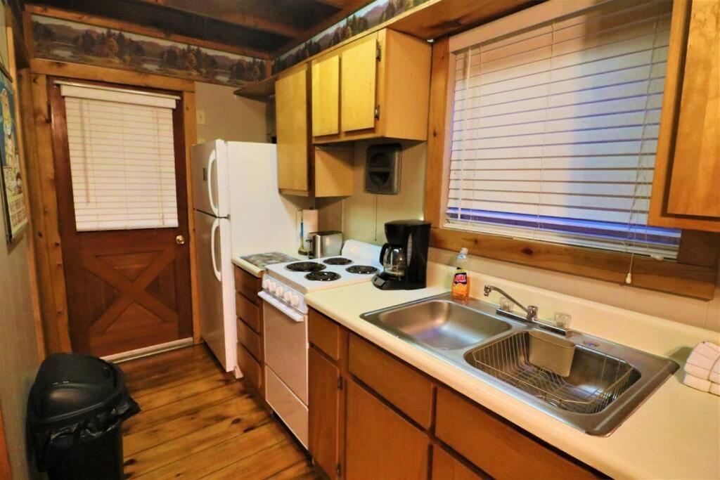 Amazing Cabin Fireplace And Stream #11 هيلين المظهر الخارجي الصورة