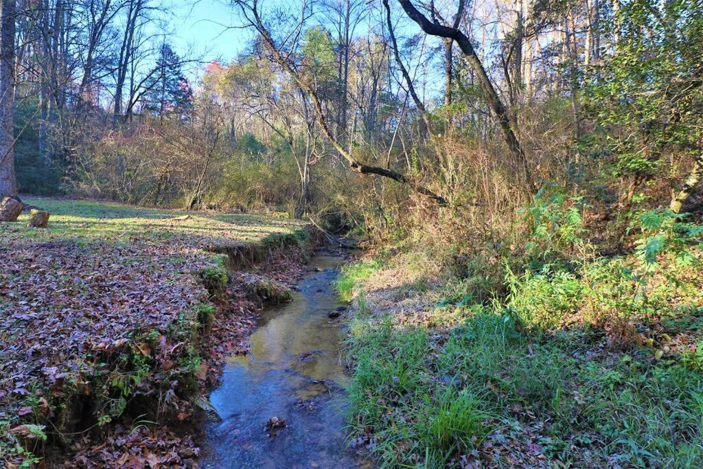 Amazing Cabin Fireplace And Stream #11 هيلين المظهر الخارجي الصورة